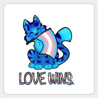 Love Wins Cat (Trans Flag) Magnet